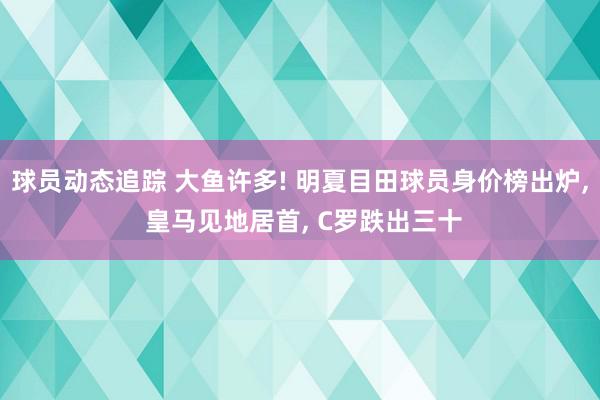 球员动态追踪 大鱼许多! 明夏目田球员身价榜出炉, 皇马见地居首, C罗跌出三十