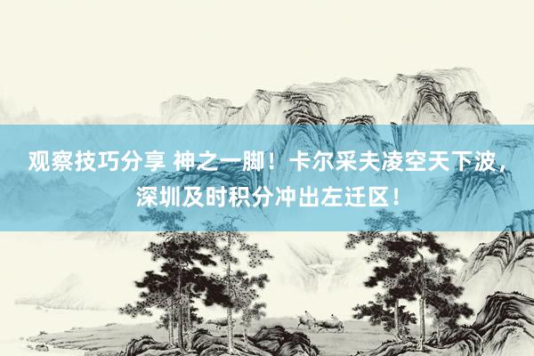 观察技巧分享 神之一脚！卡尔采夫凌空天下波，深圳及时积分冲出左迁区！