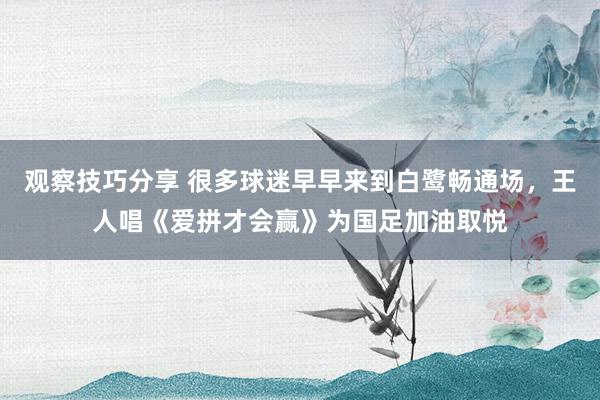 观察技巧分享 很多球迷早早来到白鹭畅通场，王人唱《爱拼才会赢》为国足加油取悦