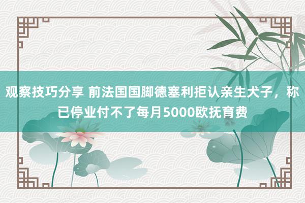 观察技巧分享 前法国国脚德塞利拒认亲生犬子，称已停业付不了每月5000欧抚育费