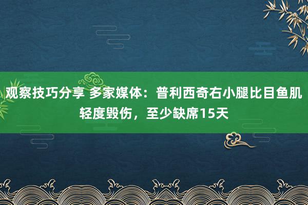 观察技巧分享 多家媒体：普利西奇右小腿比目鱼肌轻度毁伤，至少缺席15天