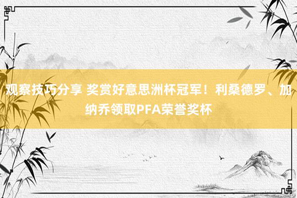 观察技巧分享 奖赏好意思洲杯冠军！利桑德罗、加纳乔领取PFA荣誉奖杯