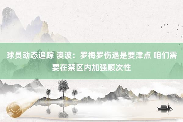 球员动态追踪 澳波：罗梅罗伤退是要津点 咱们需要在禁区内加强顺次性