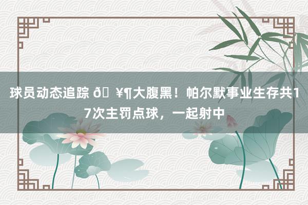 球员动态追踪 🥶大腹黑！帕尔默事业生存共17次主罚点球，一起射中