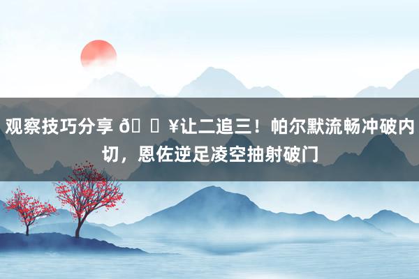 观察技巧分享 💥让二追三！帕尔默流畅冲破内切，恩佐逆足凌空抽射破门