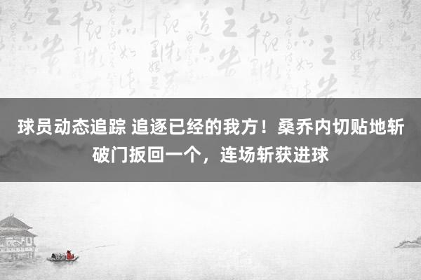 球员动态追踪 追逐已经的我方！桑乔内切贴地斩破门扳回一个，连场斩获进球